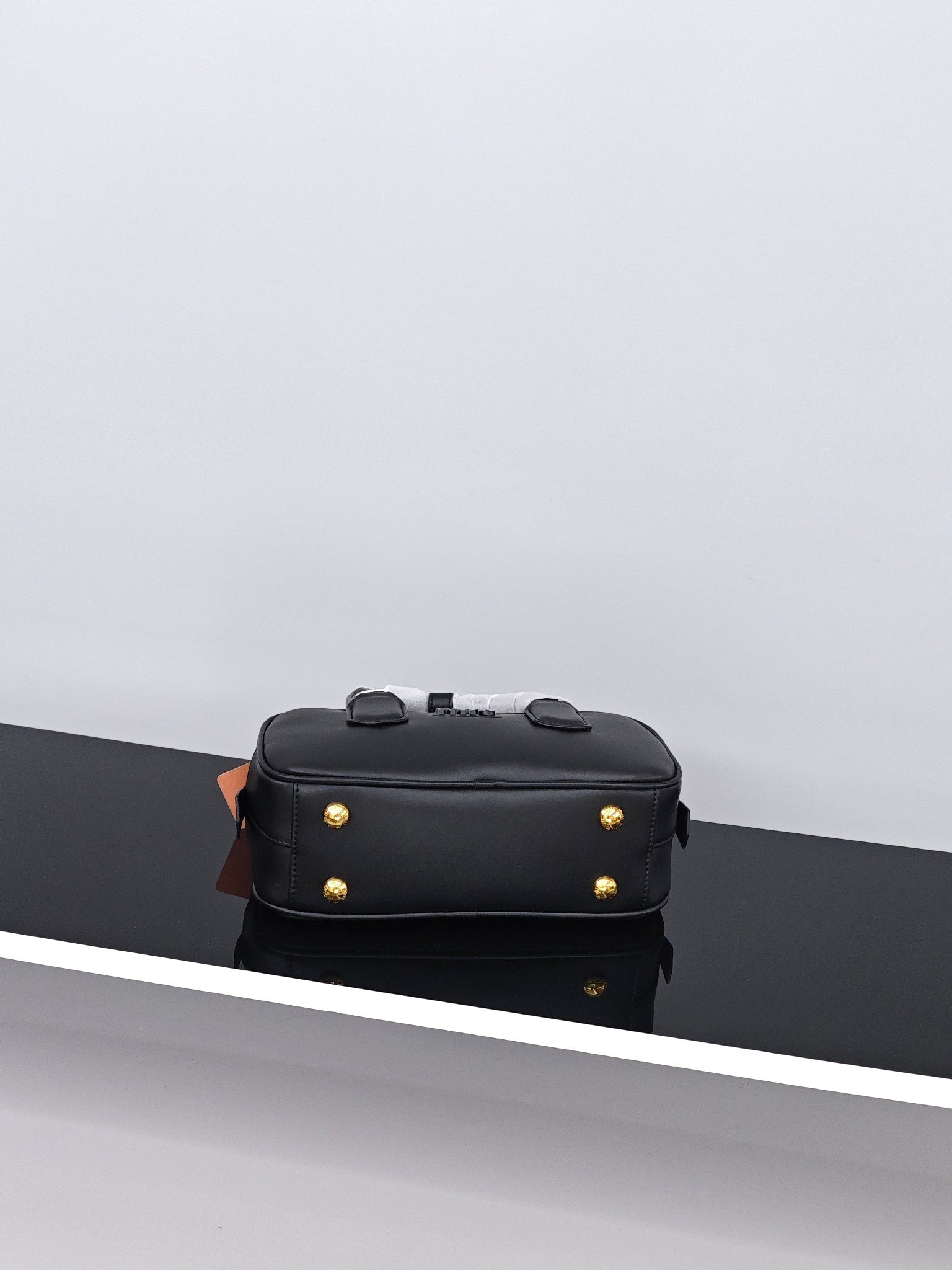Miu Mi! Arcadie Mini Bag