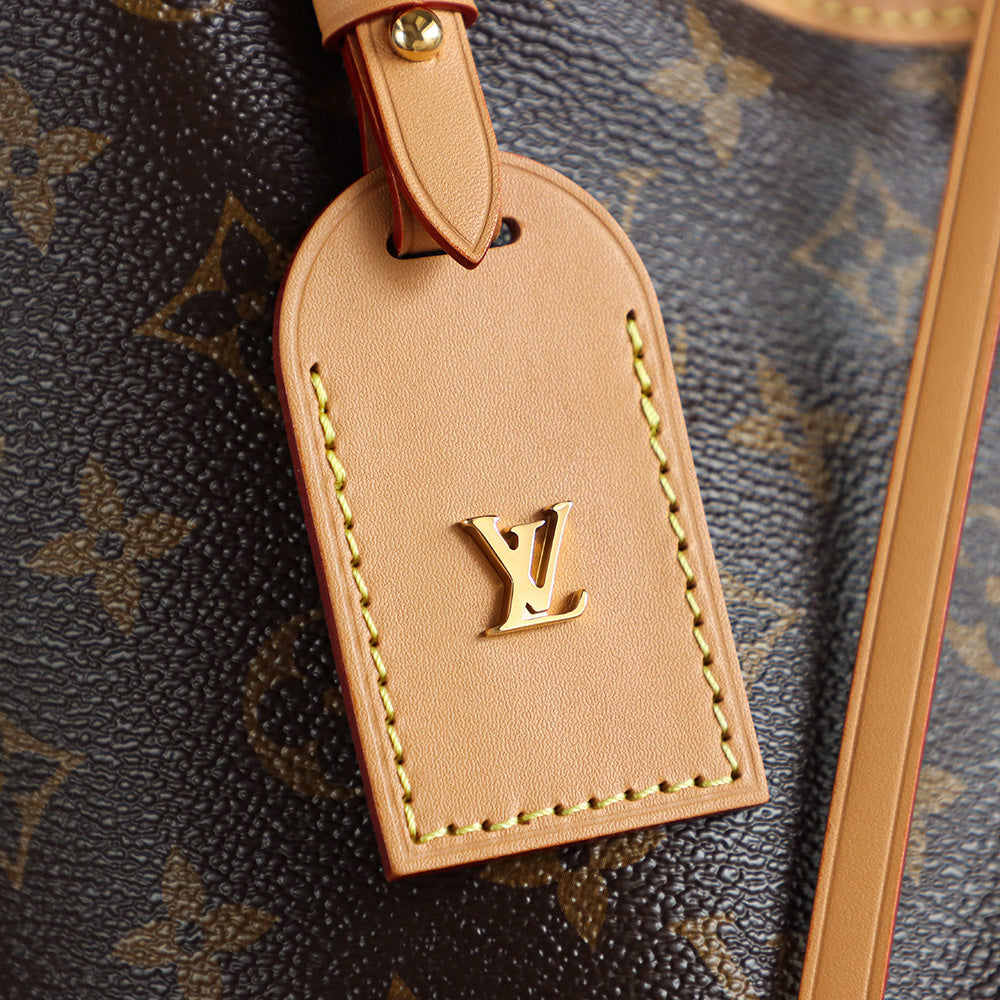 حقائب يد من  LV x TM CarryAll PM Other Monogram 