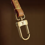 حقائب يد من  LV x TM CarryAll PM Other Monogram 
