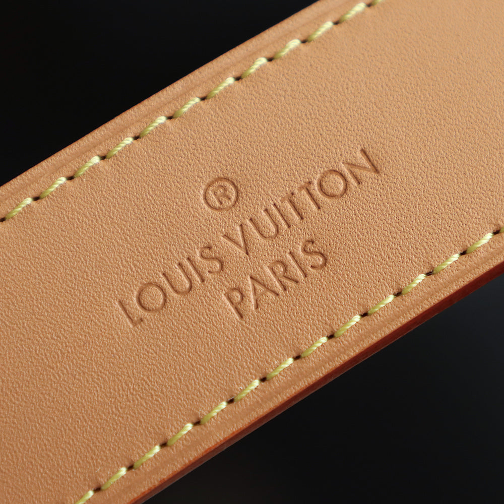 حقائب يد من  LV x TM CarryAll PM Other Monogram 